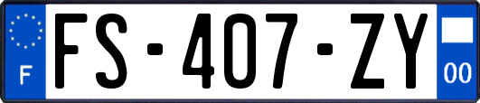 FS-407-ZY