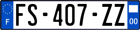 FS-407-ZZ