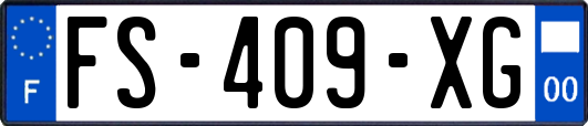 FS-409-XG