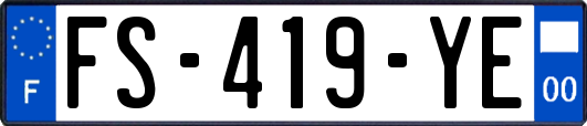 FS-419-YE