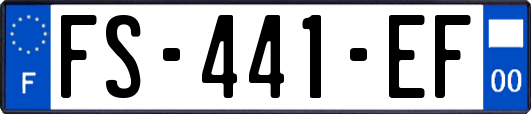 FS-441-EF