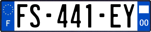 FS-441-EY