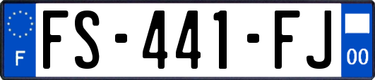 FS-441-FJ