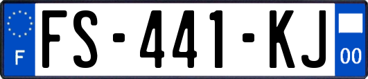 FS-441-KJ