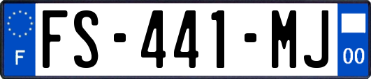 FS-441-MJ