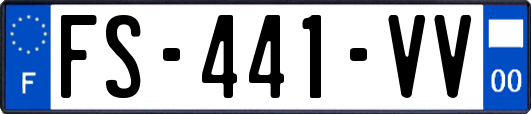 FS-441-VV