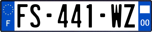 FS-441-WZ