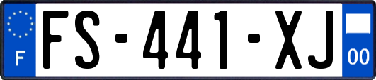 FS-441-XJ