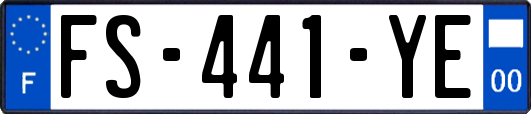 FS-441-YE