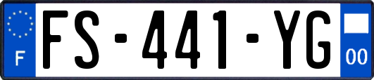 FS-441-YG