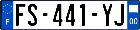 FS-441-YJ