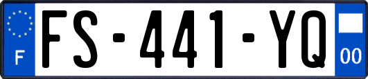 FS-441-YQ
