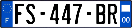 FS-447-BR