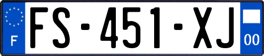FS-451-XJ