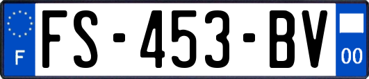 FS-453-BV
