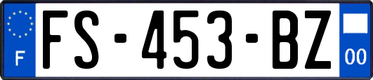 FS-453-BZ
