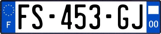 FS-453-GJ