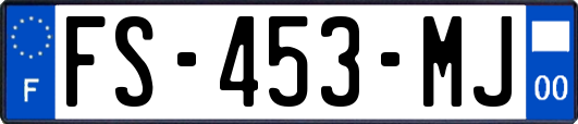 FS-453-MJ