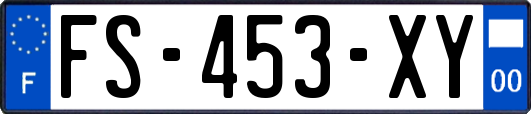 FS-453-XY