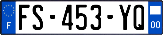 FS-453-YQ