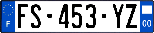 FS-453-YZ