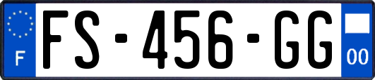 FS-456-GG