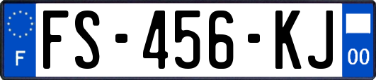 FS-456-KJ