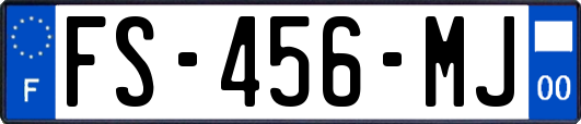 FS-456-MJ