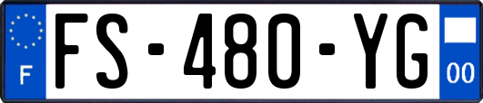FS-480-YG