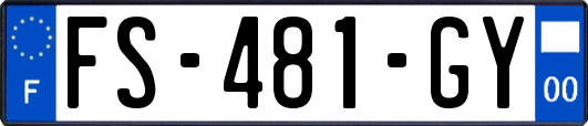 FS-481-GY