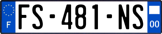 FS-481-NS