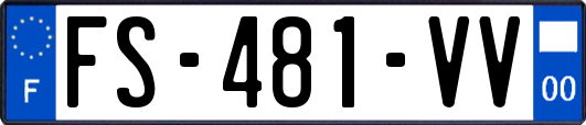 FS-481-VV