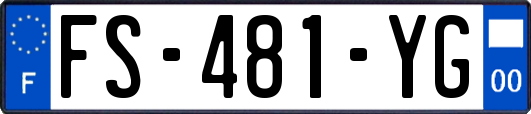 FS-481-YG