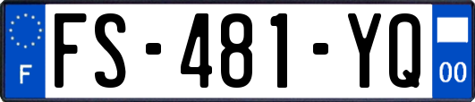 FS-481-YQ