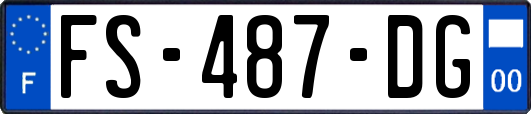 FS-487-DG