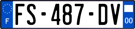 FS-487-DV