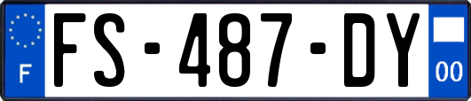 FS-487-DY