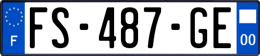 FS-487-GE
