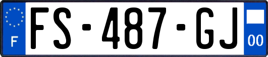 FS-487-GJ