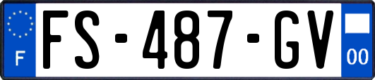 FS-487-GV