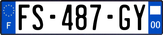 FS-487-GY