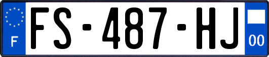 FS-487-HJ
