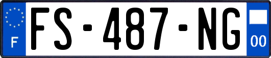 FS-487-NG