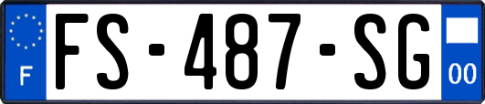 FS-487-SG