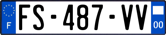 FS-487-VV