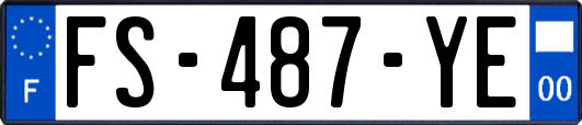 FS-487-YE