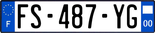 FS-487-YG