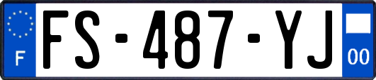 FS-487-YJ