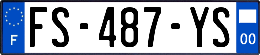 FS-487-YS