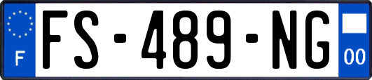 FS-489-NG